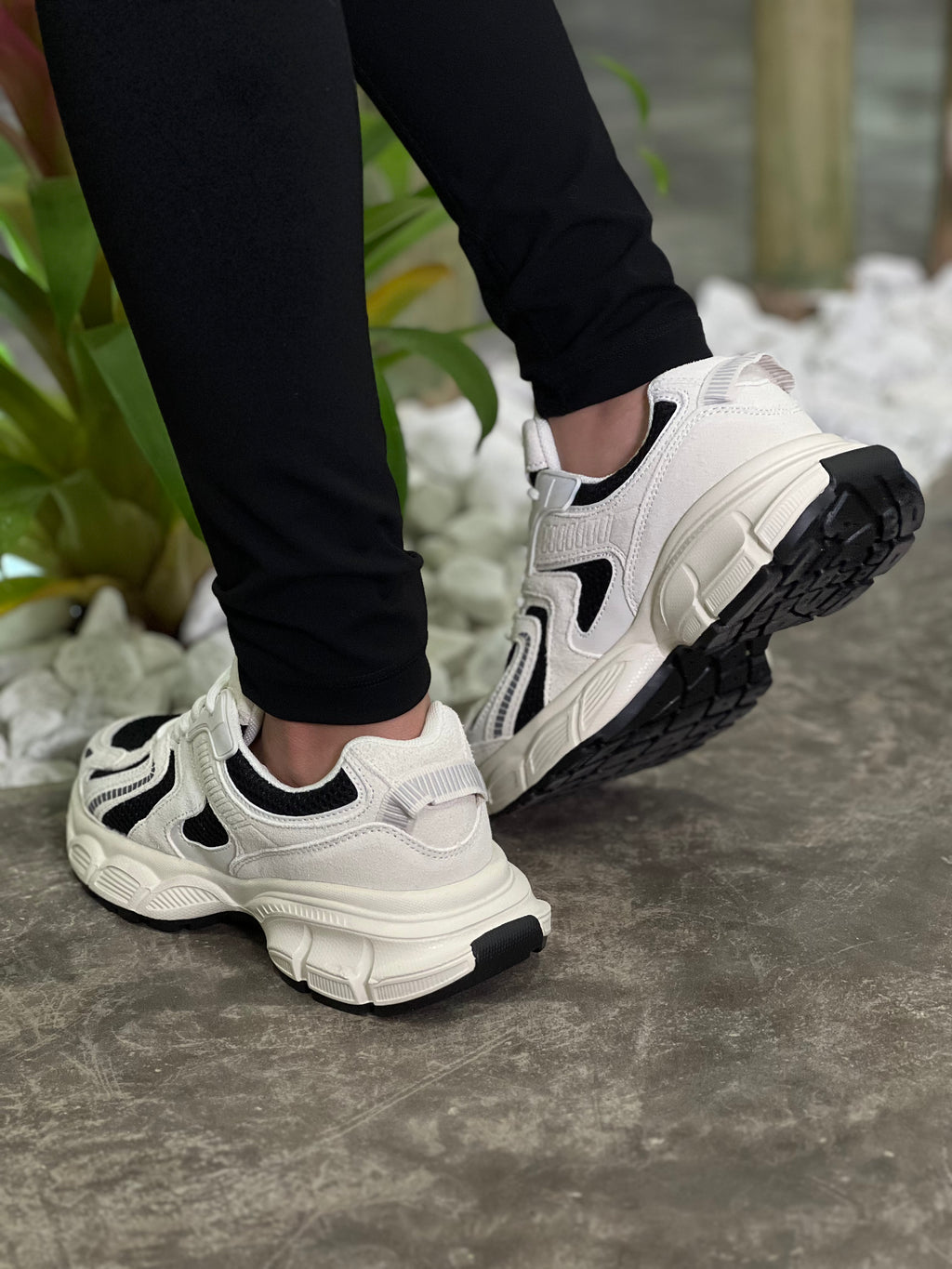 TENIS